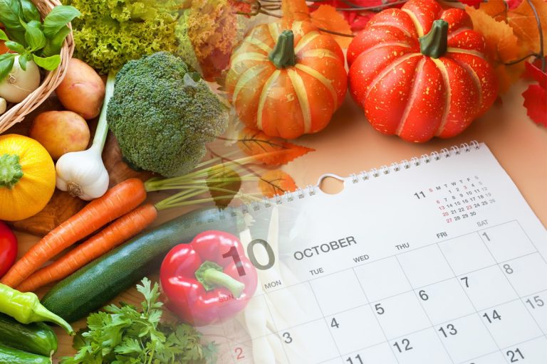 Ce să plantezi în octombrie în grădină. Legumele care cresc ușor toamna și dau roade bogate