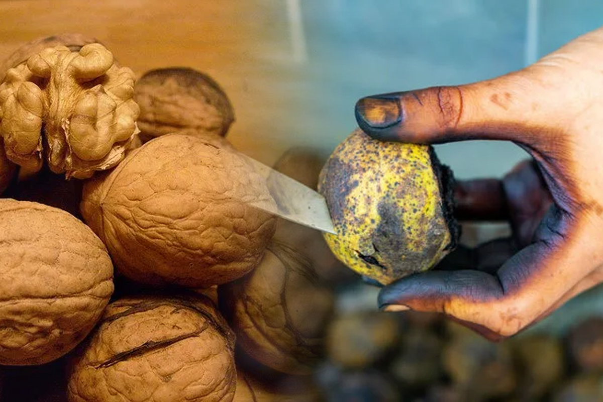 Cu ce se curăță petele de nuci de pe mâini