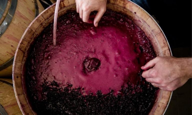 Cum poți opri vinul din fermentat. Trucul special pentru o aromă intensă