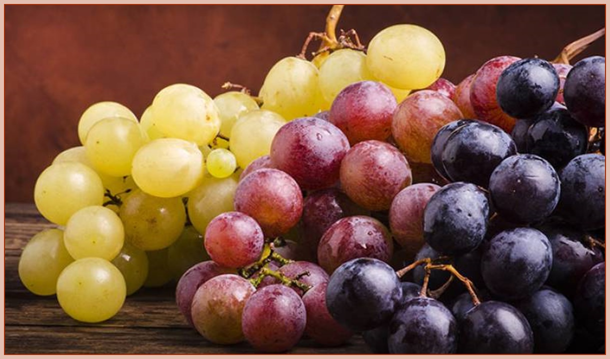 Cum se păstrează strugurii