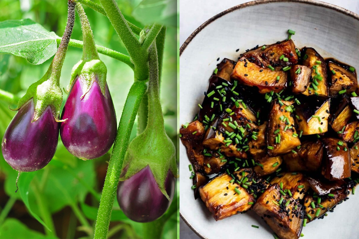 De ce vinetele devin amare dupa gatit, de fapt