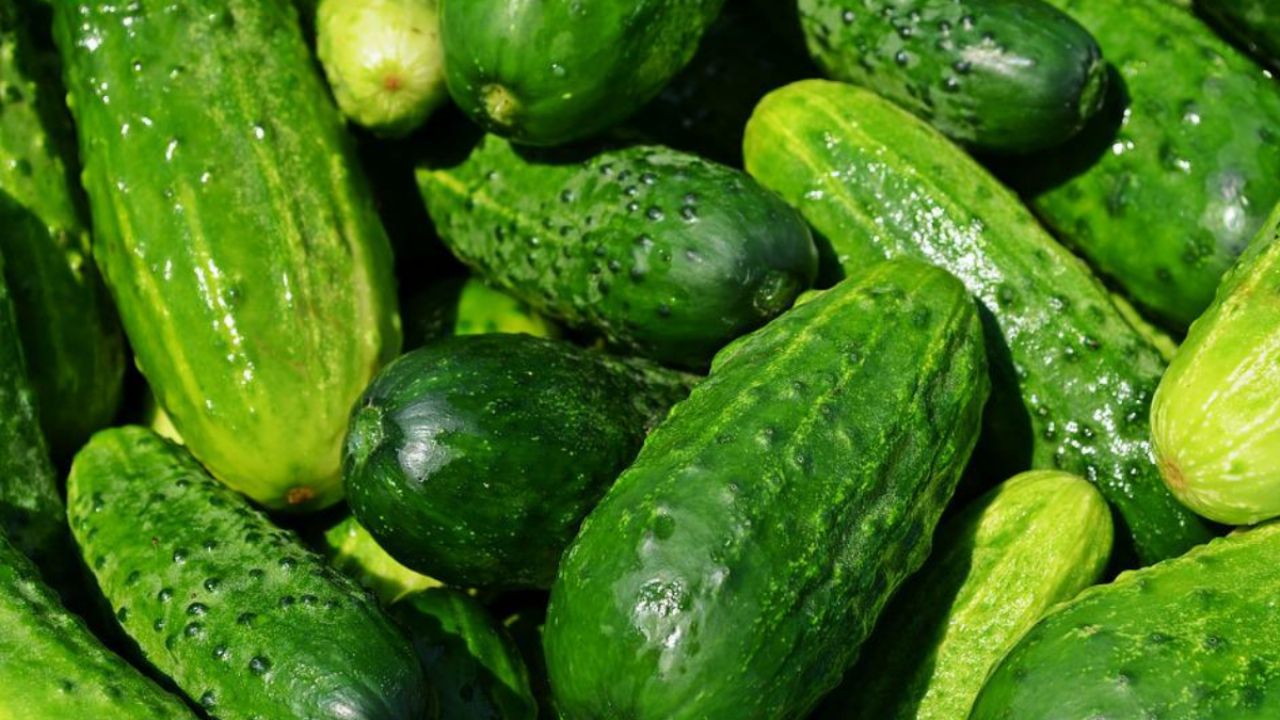 Depozitarea castraveților proaspeți