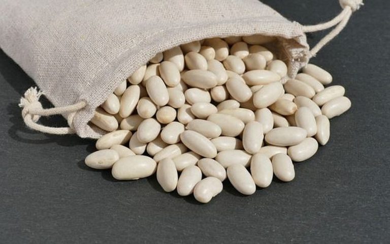 Locul din casă în care e bine să pui boabe de fasole. Așa vei atrage banii și prosperitatea