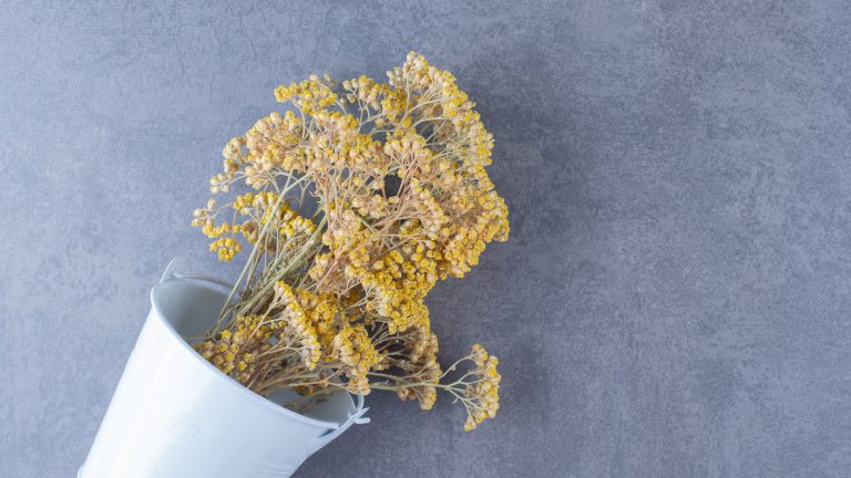 Locul din casă în care e bine să pui busuioc pentru noroc. Te protejează de ghinion și necazuri