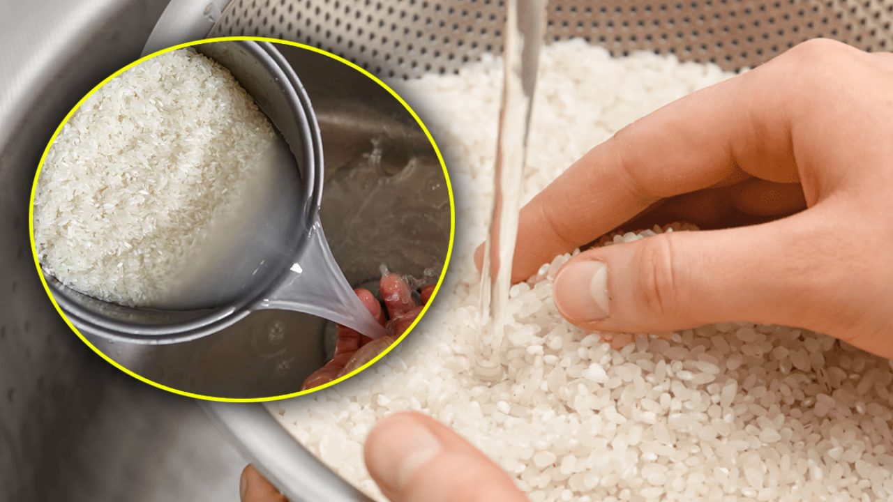 Mihaela Bilic Nu mai spala orezul inainte de a-l gati. Greseala pe care toate gospodinele o fac