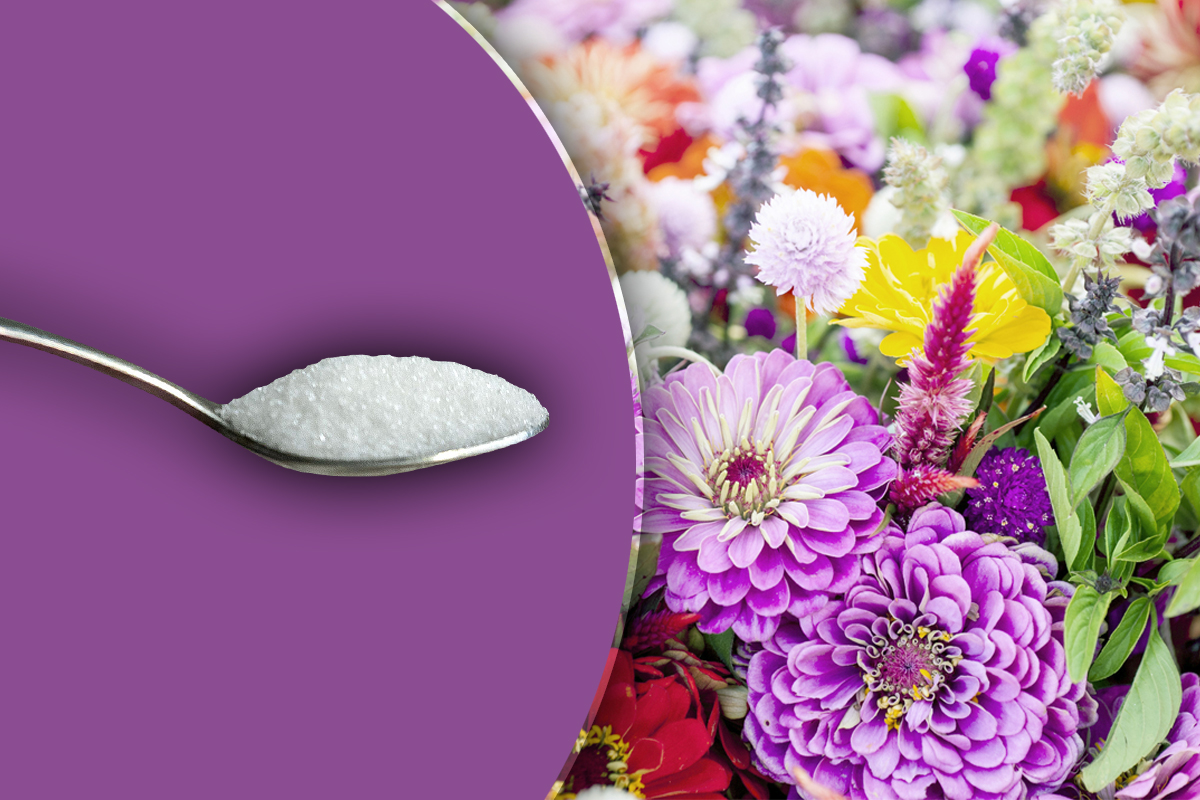 O lingurita din acest ingredient secret si florile tale vor exploda de flori