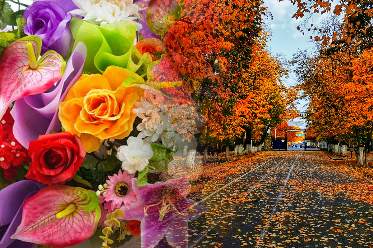 Plante care infloresc in septembrie. Cele mai frumoase flori de toamna, sunt ideale pentru orice locuinta