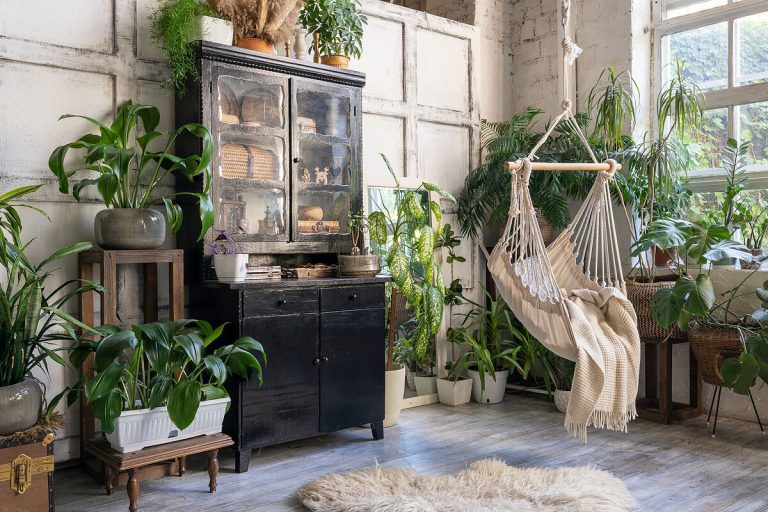 Plantele talisman care aduc noroc, sănătate și bunăstare. Ce trebuie să ai neapărat în casa ta, viața ți se va schimba complet