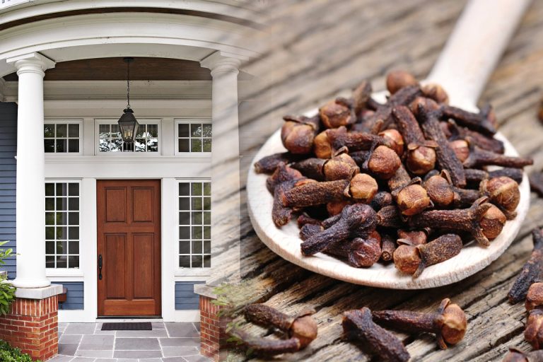 Pune cuișoare la intrarea în casă, în septembrie. Trucul secret te scapă de o mare problemă