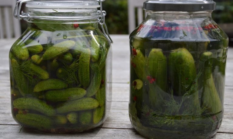 Secretul celor mai buni castraveți murați pentru salata de boeuf. În ce trebuie înveliți ca să aibă un gust special