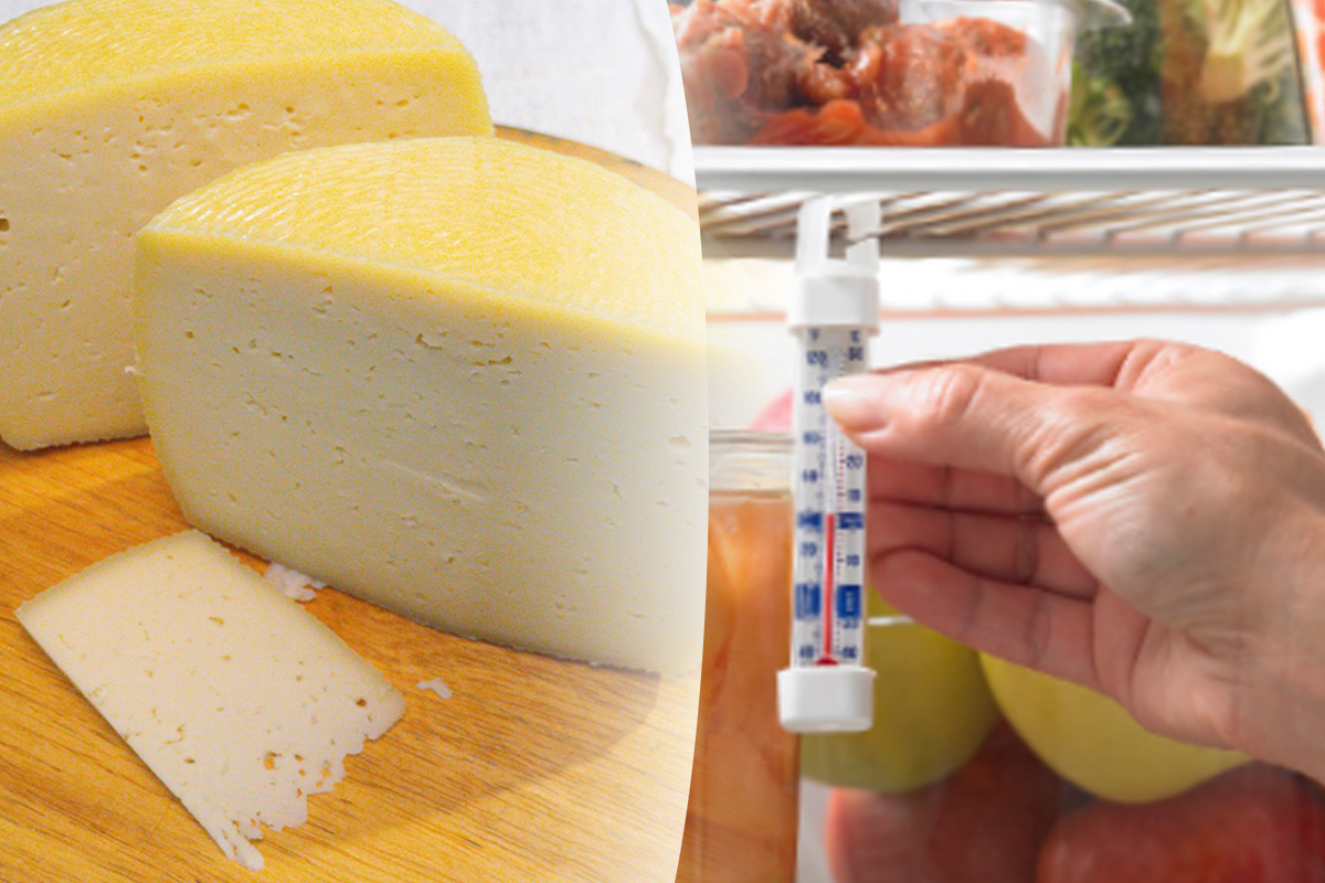 Temperatura la care se pastreaza corect branza. Multe persoane fac greseala