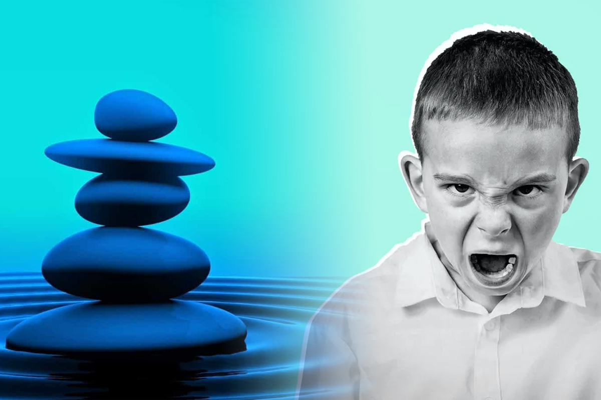 Test de personalitate. Calm sau vulcanic Ce spune lacatul ales despre felul tau de a fi