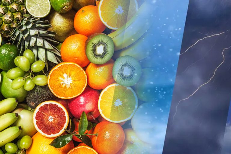 Top 10 fructe și legume care rezistă cel mai mult în condiții vitrege. Secretul experților în grădinărit