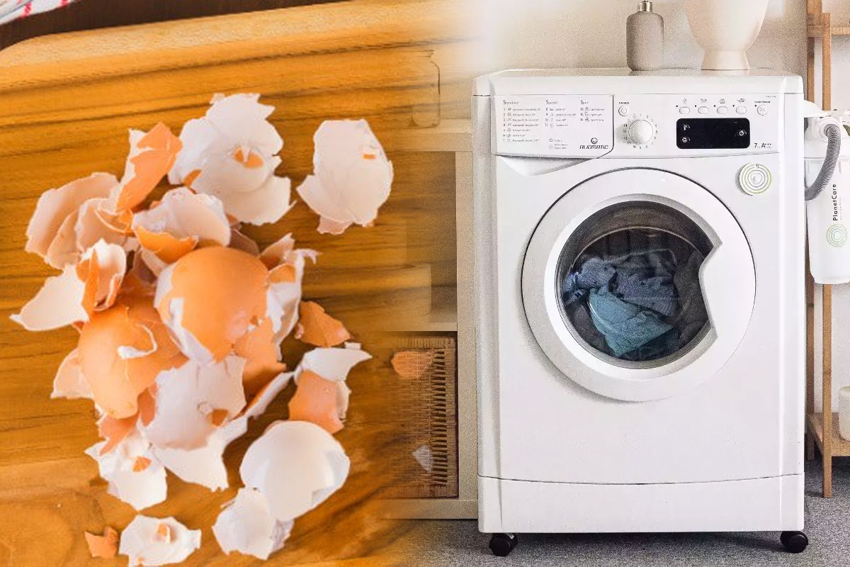 Tot mai multe gospodine pun coji de oua in masina de spalat