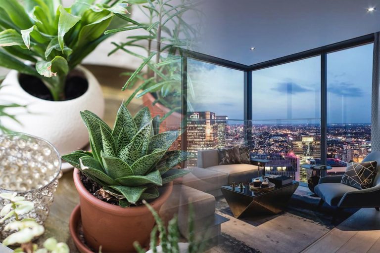 Unde să ții, de fapt, plantele ca să crească repede și spectaculos. Locul din casă în care se simt cel mai bine