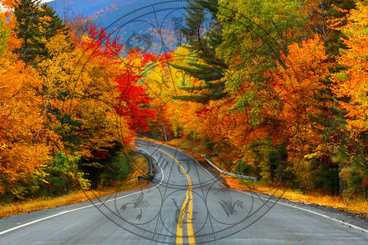 Zodia care are noroc cu carul in toamna anului 2023. Acesti nativi dau lovitura, succes pe toate planurile