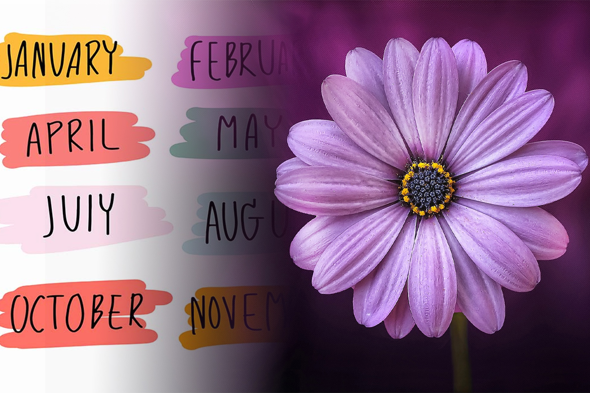 Care este floarea ta protectoare, in functie de luna in care te-ai nascut