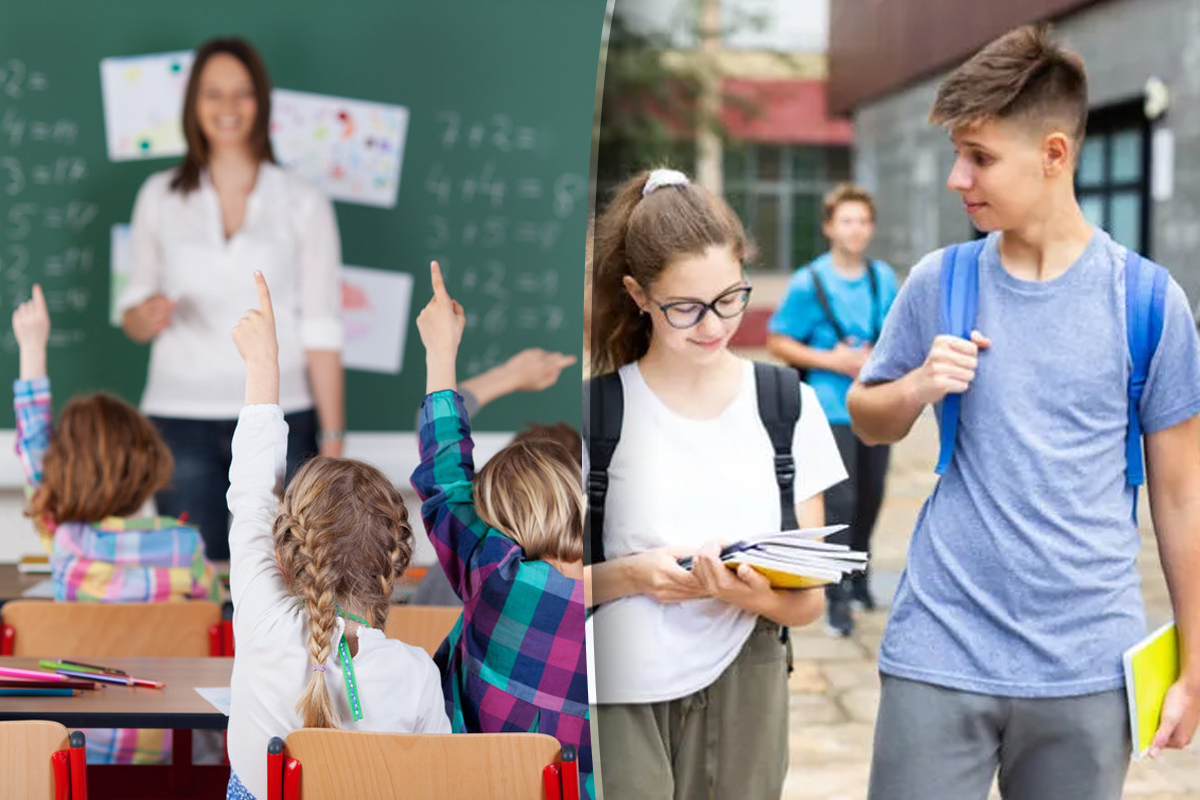 Care este pluralul cuvantului gimnaziu.