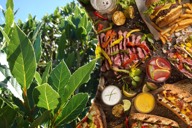 Cât se lasă foile de dafin în mâncare. Greșeala care îți poate strica preparatele