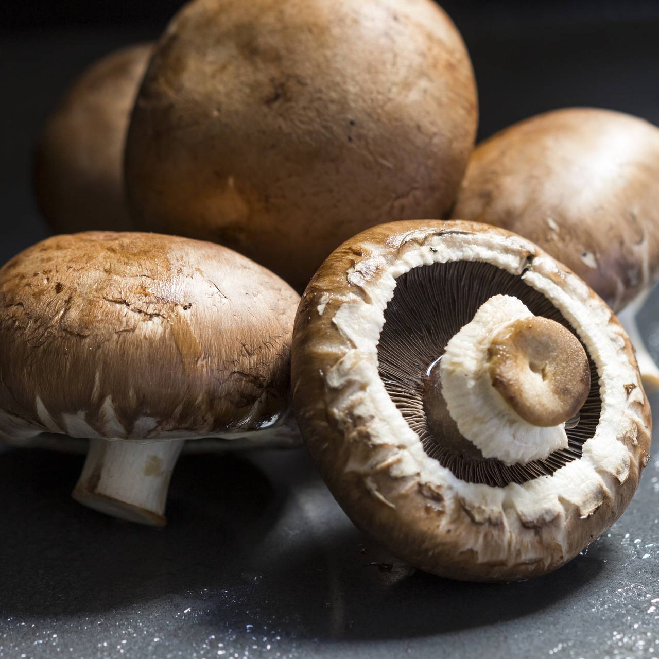 Cât se țin ciupercile umplute la cuptor