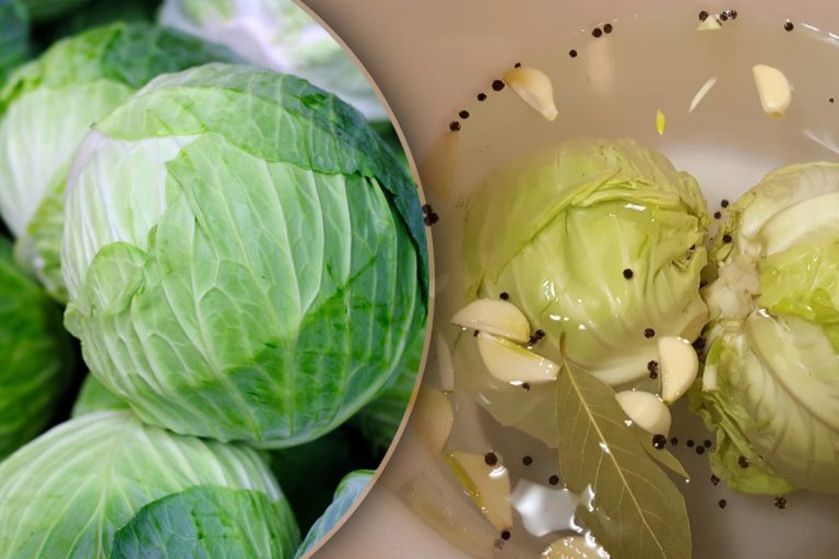 Cât timp se ține varza la murat, de fapt. Secretul pe care trebuie să-l știe orice gospodină