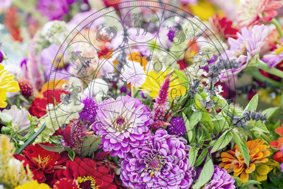 Ce flori iti aduc noroc in functie de zodie