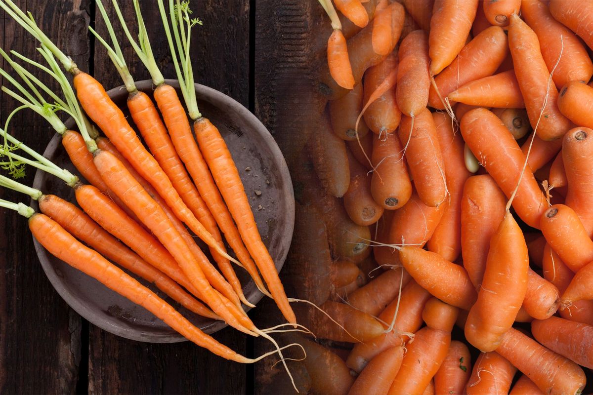 Ce să presari în lada cu morcovi ca să rămână tari. Așa nu vor încolți până la primăvară, trucul din bătrâni