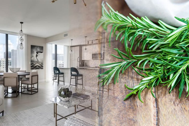 De ce e bine să arzi rozmarin în casă. Trucul extraordinar care îți va schimba viața