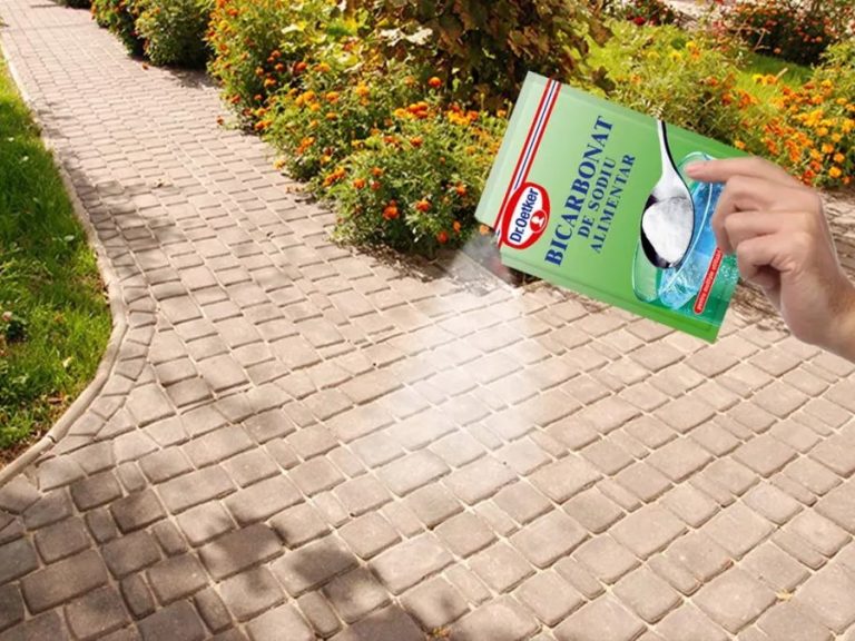 De ce să presari bicarbonat de sodiu prin curte. Efect uluitor, trucul care îți va ușura viața