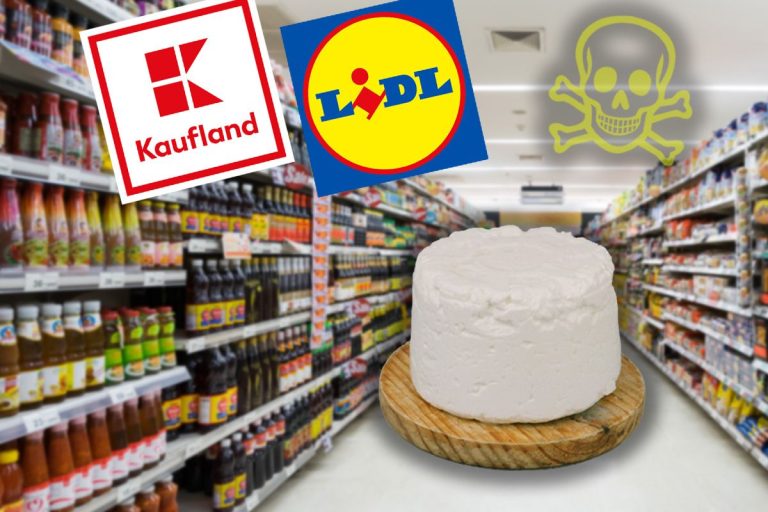 Din ce e făcută brânza vegetală din Lidl, Auchan sau Kaufland. Milioane de români nu știu ce mănâncă, de fapt