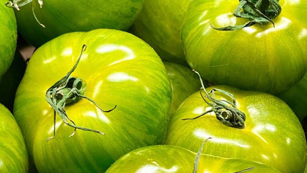 Gogonele murate tari și crocante