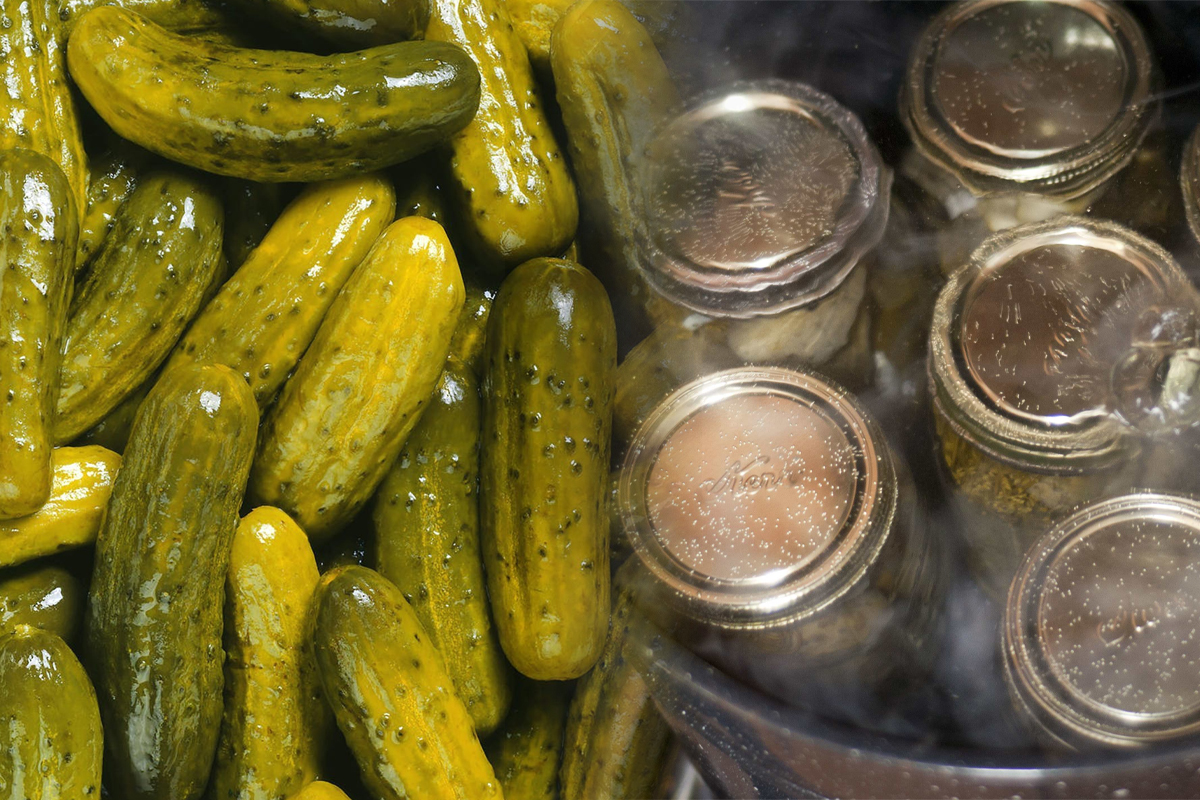 In ce sa fierbi castravetii murati pentru un gust senzationa