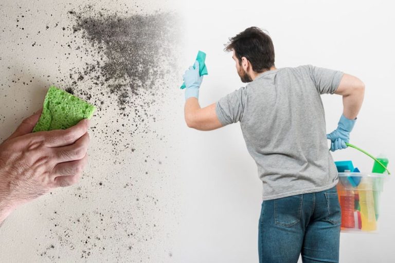 Ingredientul magic care curăță orice pată de pe pereți. Rămân imaculați, nu mai e nevoie să zugrăvești