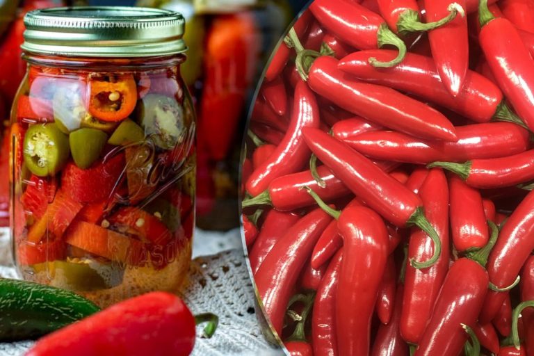 Ingredientul secret pe care îl pun bucătarii de top în borcanele cu ardei iuți. Așa rămân tari și crocanți toată iarna