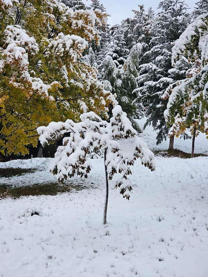 Localitatea din Romania unde este iarna in toata regula 2