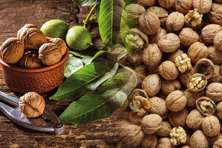 Nu mai arunca cojile de nucă la gunoi. Utilizarea incredibilă pe care o au în gospodărie, puțini știu de asta