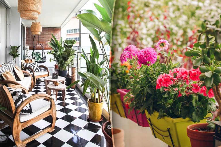 Plante pe care să nu le ții pe balcon. Se pot ofili în câteva zile, locul lor este în casă