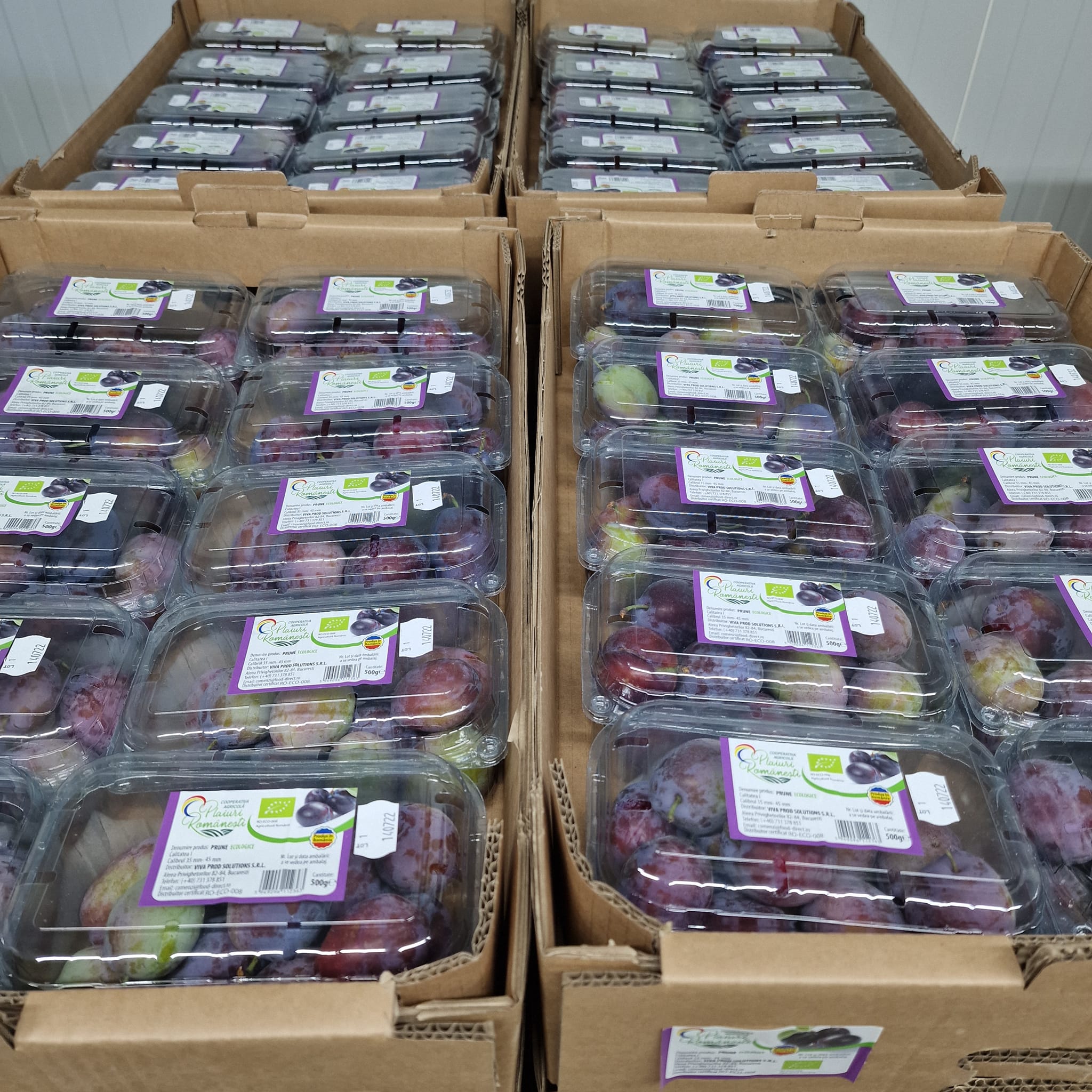 Cu ce se ocupă fratele mai mare al Adelei Popescu