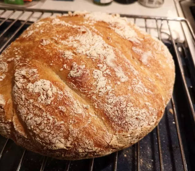  Secretul pentru cea mai bună pâine cu doar un gram de drojdie