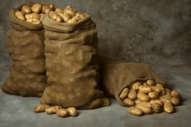 Ce să pui în lada cartofilor ca să nu mai încolțească. Trucul din bătrâni care îi păstrează mari și sănătoși