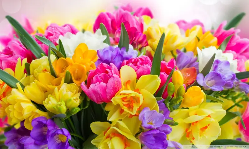 Care este floarea ta protectoare, în funcție de luna în care te-ai născut