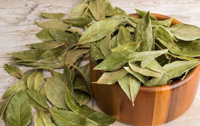 Locul din casă unde e bine să arzi foi de dafin pentru noroc. Așa atragi banii și succesul în viața ta