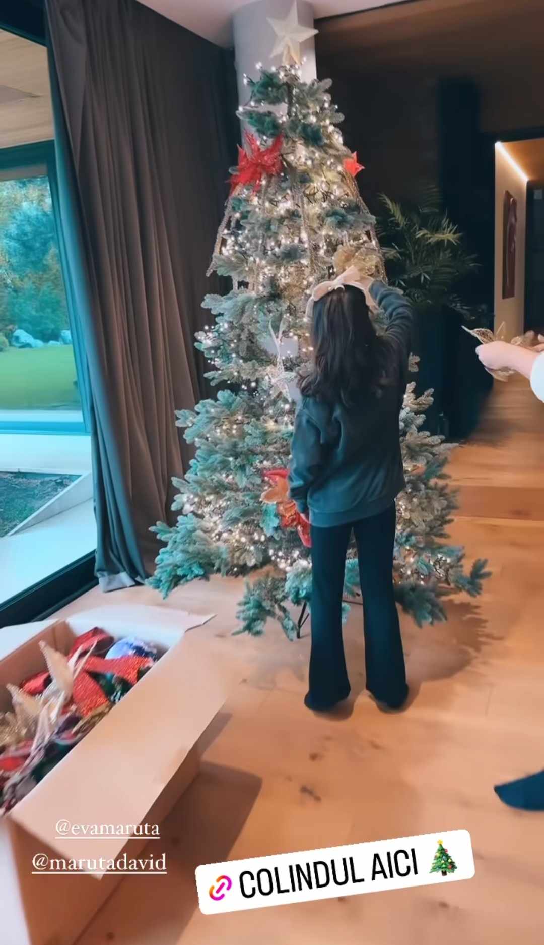 Andra și Cătălin Măruță și-au împodobit casa de sărbători