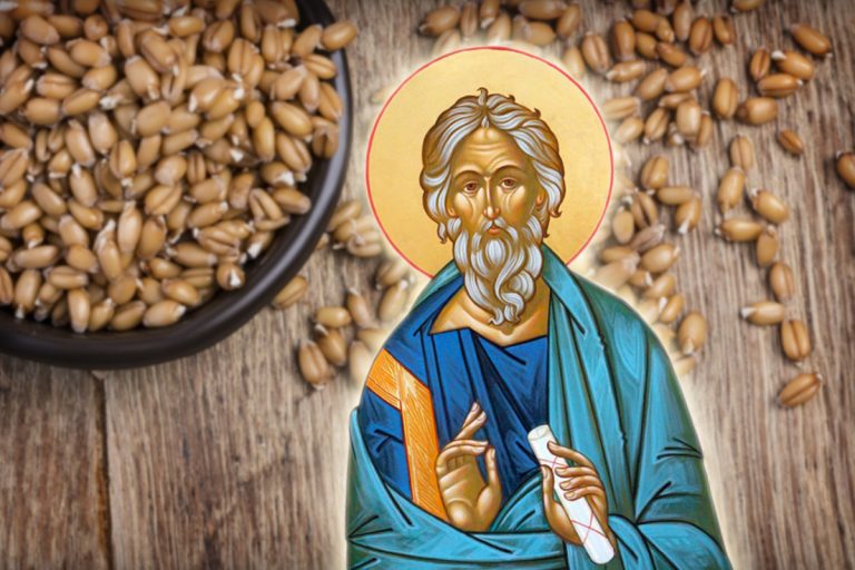 Ce se face cu grâul încolțit de Sfântul Andrei. E mare păcat să îl arunci