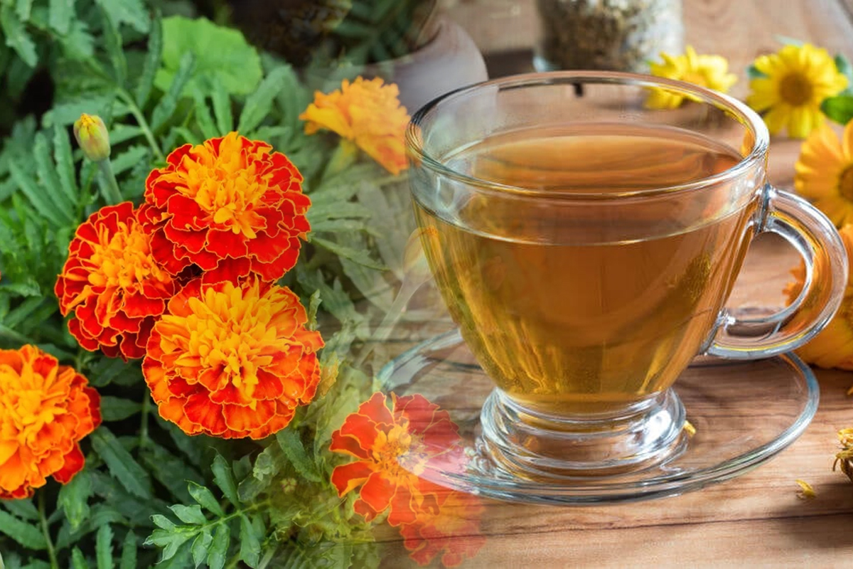 Ce semnificatie au galbenelele. De ce sunt speciale, X moduri surprinzatoare in care le poti folosi