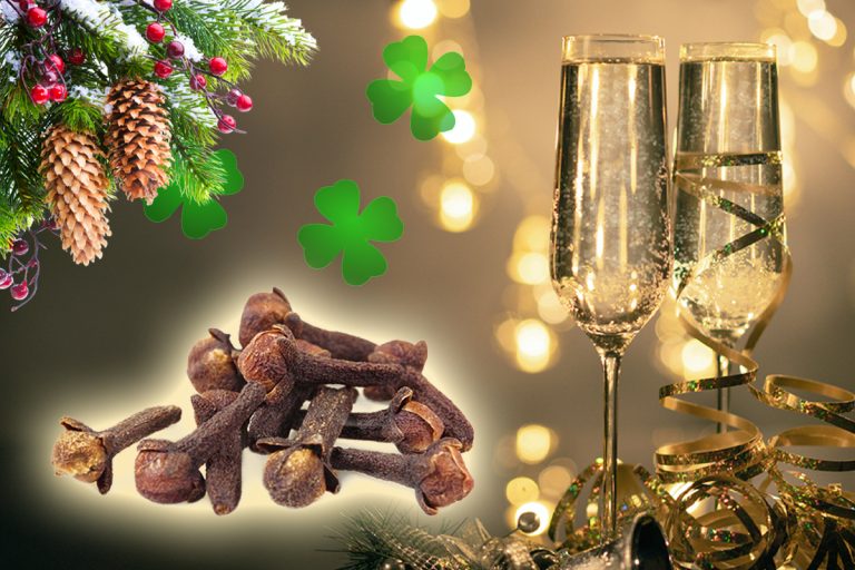 Cum să folosești cuișoarele de Crăciun și Anul Nou pentru a atrage banii în viața ta. Locul din casă în care să le pui