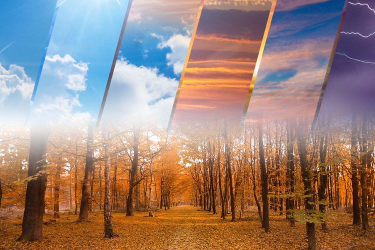 Cum va fi vremea in noiembrie 2023. Anuntul ANM, fenomenul care i-a surprins pe meteorologi