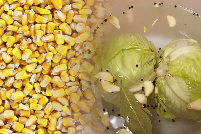 De ce să pui boabe de porumb în butoiul cu varză murată. Gospodarii de la țară apelează la acest truc de sute de ani