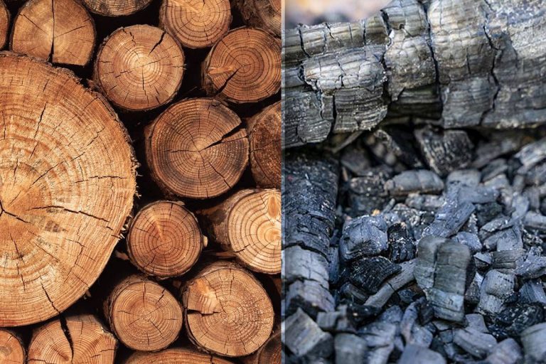 Nu mai arunca cenușa de lemn. E aur curat în gospodărie, 10 utilizări secrete de care nimeni nu știa