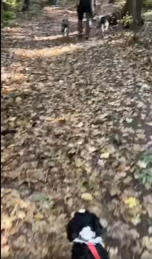 Rar o vezi asa pe Andreea Marin 1